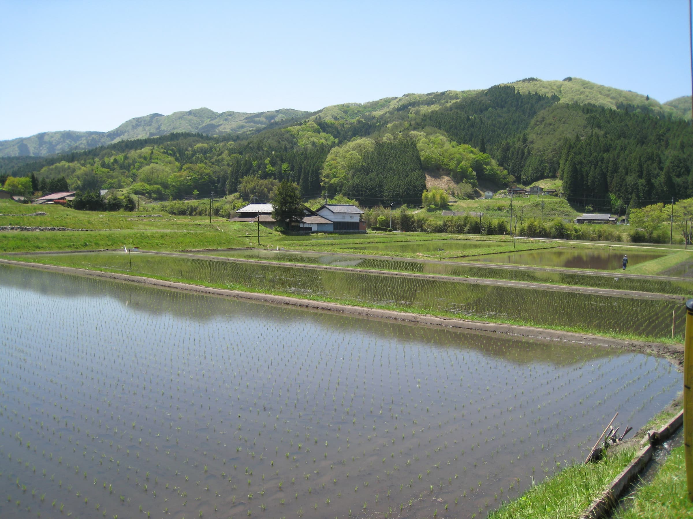 いなぶの風景